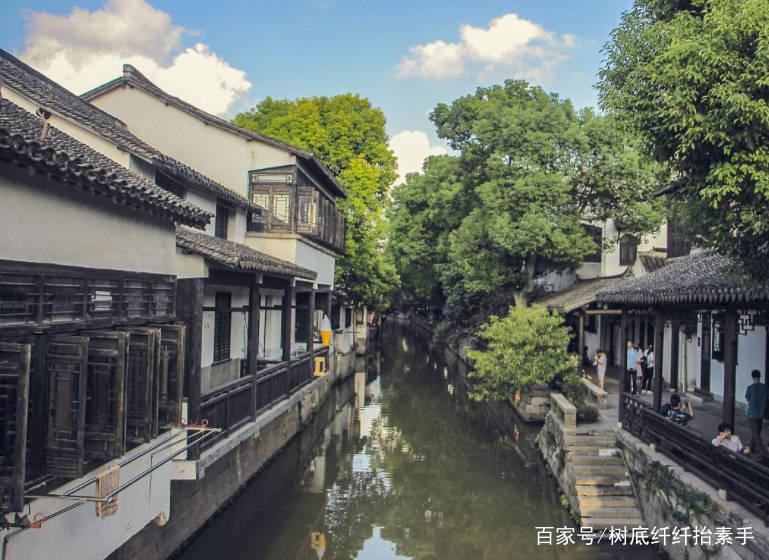 履职一年间丨省政协文化和文史委员会:以文化人 存史资政 为中国式现代化建设河南实践凝心聚力